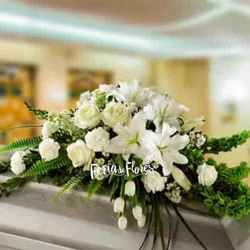 Funeral Arrangement Covers Box