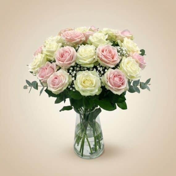 Arreglo Floral Evelin: 22 Rosas Blancas y Rosadas Frescas Arreglo floral Evelin con 22 rosas frescas en tonos blancos y rosados, complementado con follaje verde y gypsophila, presenta