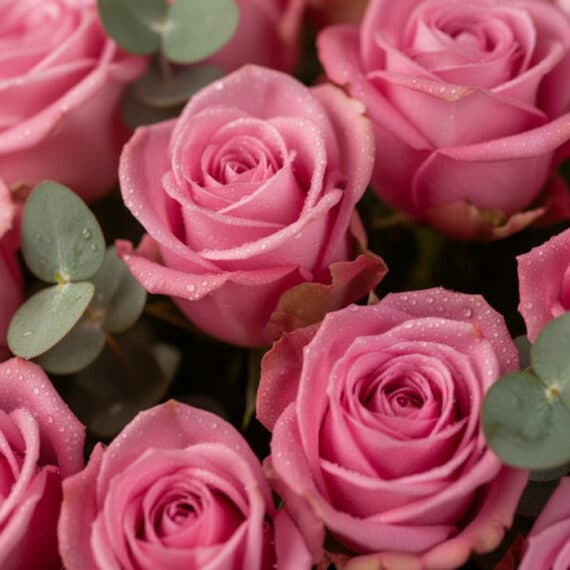 Primer plano extremo de rosas rosadas frescas del Arreglo Floral Viviana, con gotas de rocío sutiles y hojas de eucalipto, re