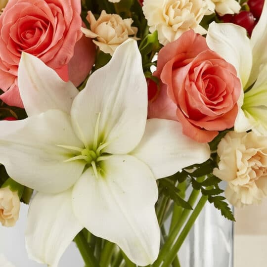 Primer plano extremo de un arreglo floral Fabrizia con rosas rosadas, lirios blancos y claveles crema, mostrando texturas y g